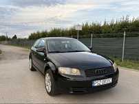 Audi a3 8p 1.9 tdi