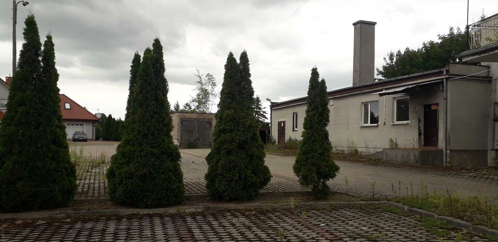 Syndyk sprzeda udziały w nieruchomości w Kisielicach