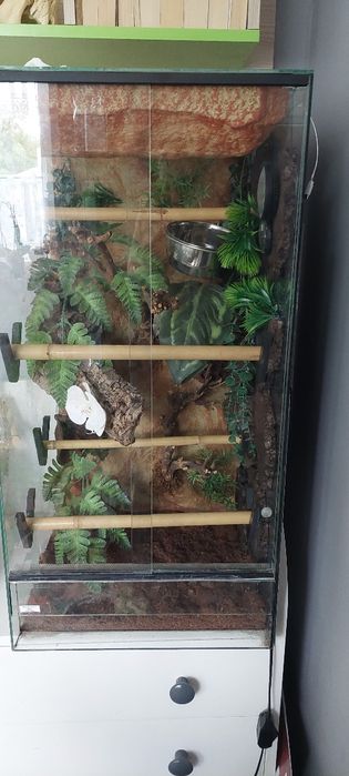 Terrarium pionowe wąż gekon jaszczurka 40x40x80