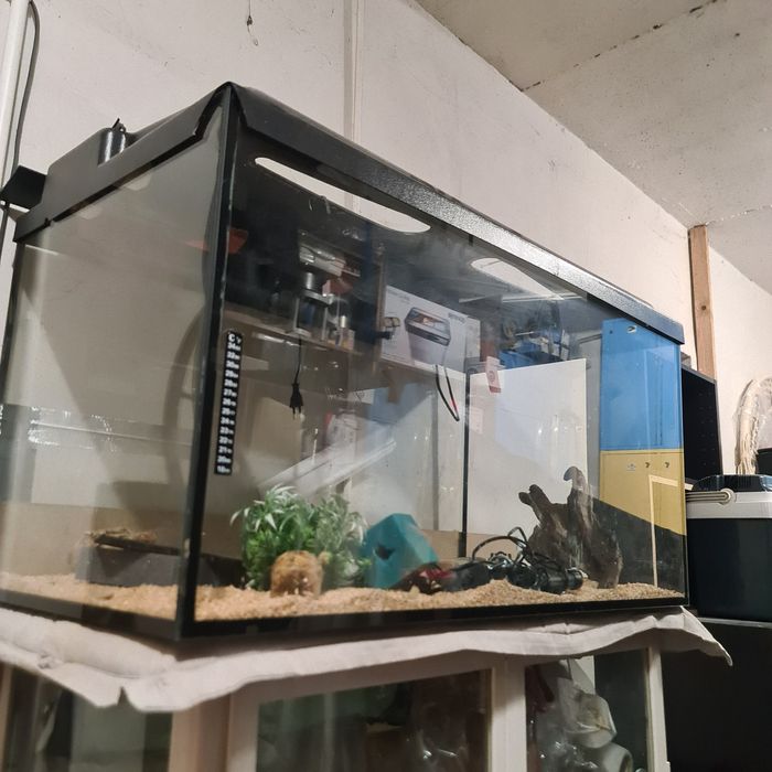 Akwarium 250 litrów