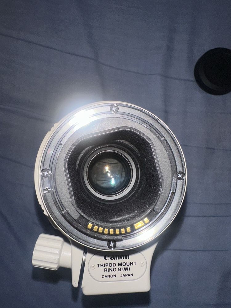 Canon EF 300mm F/4 L IS USM