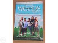 Weeds - Erva - Série 1