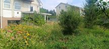 Дача з газом, 5 соток, 90 м2, поруч ліс.