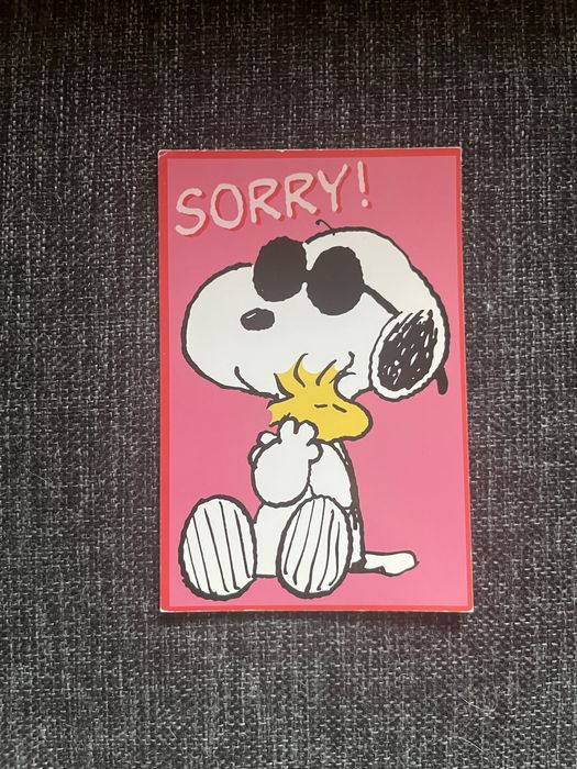 Pocztówka snoopy sorry