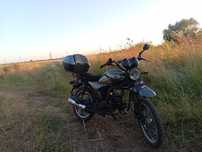 Мустанг дінго 125