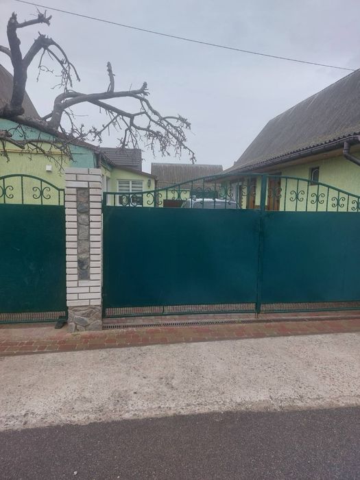 Залізні ворота та калітка