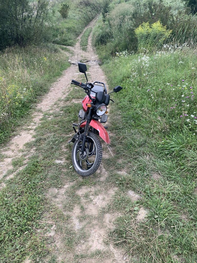 Viper 125 на документах