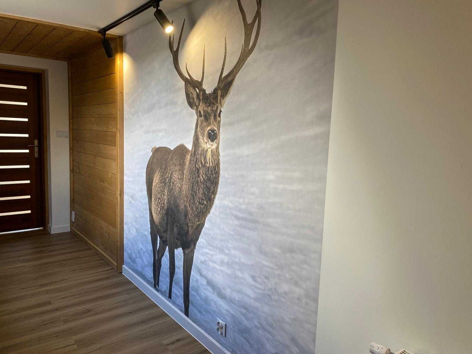 Apartament Zakopane nocleg pokój lato Last minute Parking wanna