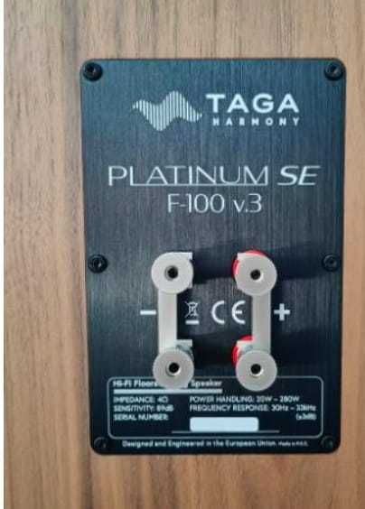 Kolumny podłogowe Taga Harmony Platinum F-100 SE v.3 Rosewood Gloss