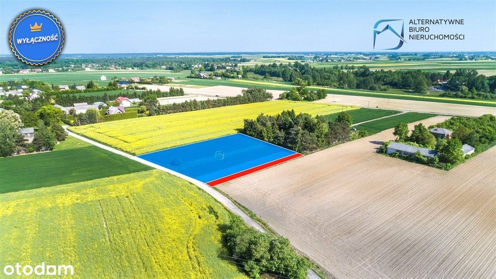 Tania Działka w Ciechankach Krzesimowskich