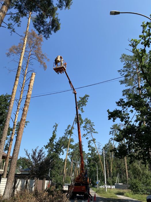 Видалення аварійних дерев|Спил частинами|Кронування|Подрібнення гілок