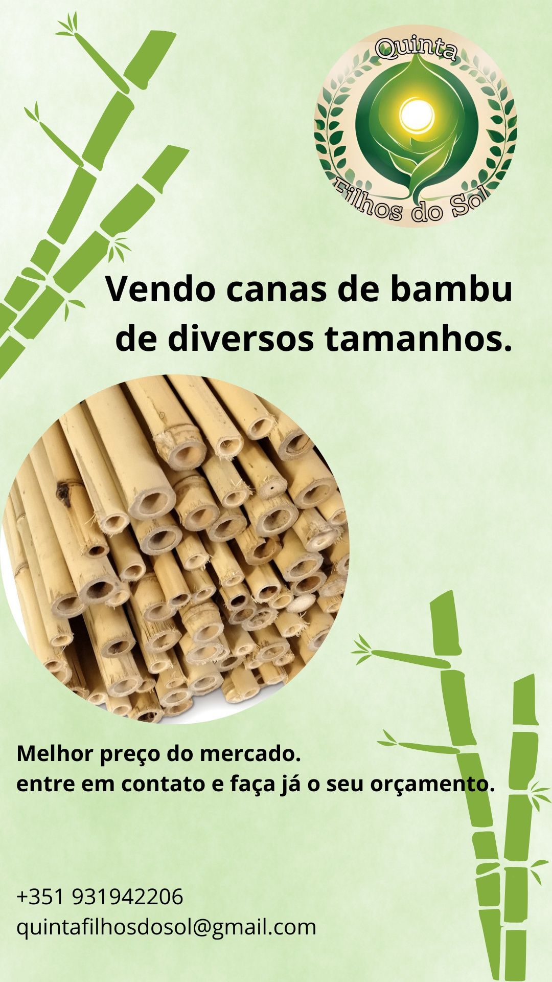 Canas de bambu de todos os tamanhos