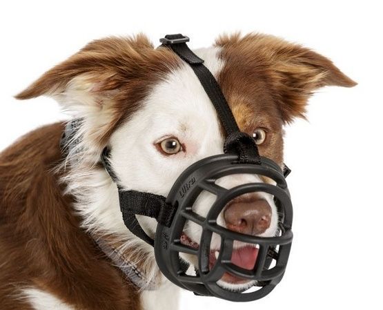 Bezpieczny kaganiec fizjologiczny Baskerville Ultra-6 Akita Rottweiler
