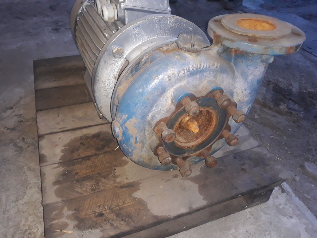 pompa leszczyńska 80PJM230