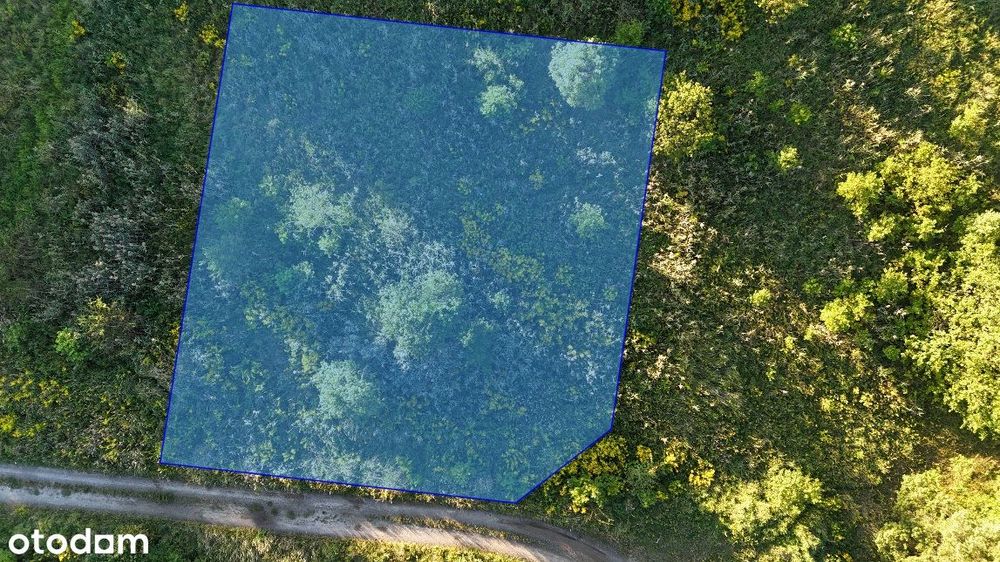 Działka budowlana na Jędrzychowie -  10,09 ar