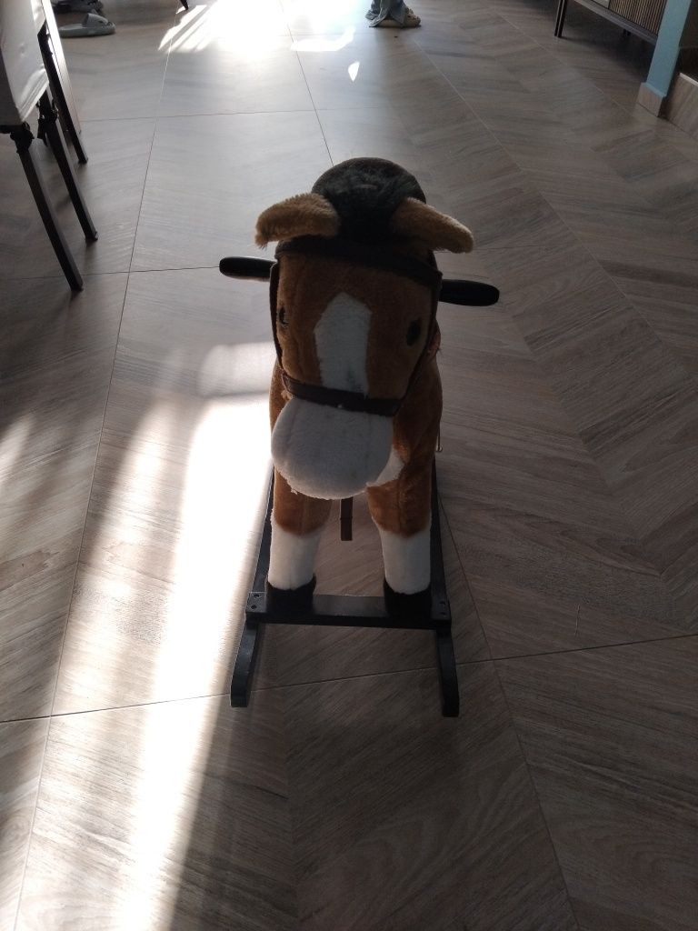 Koń na biegunach