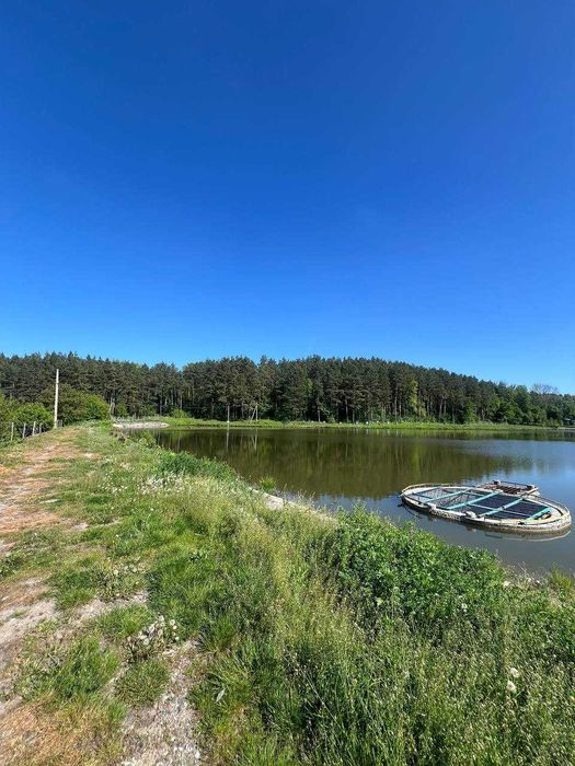 Продаж земельної ділянки в Ружичному