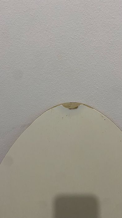 Prancha Skiming Folha