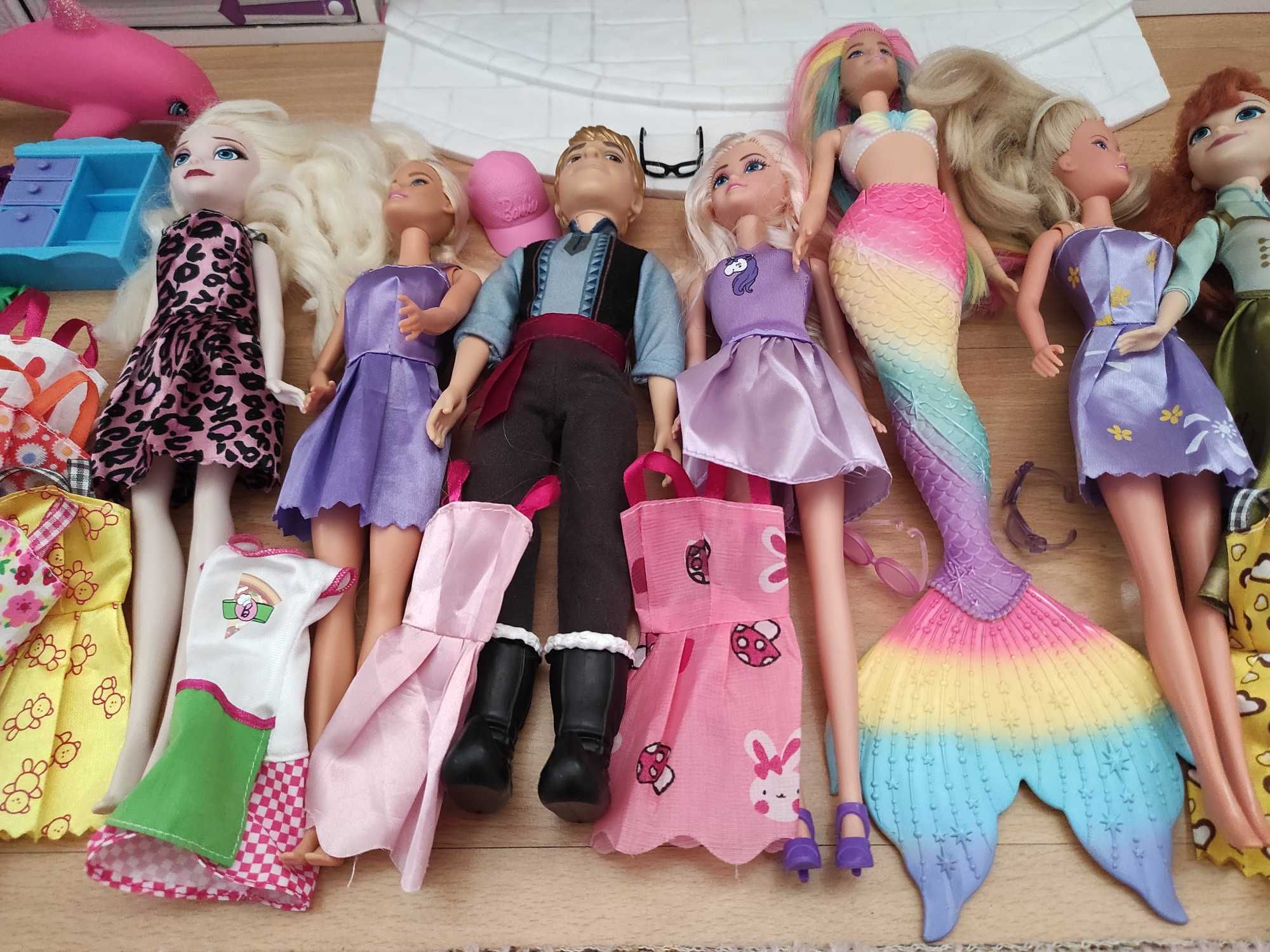 Zestaw Barbie lalki, delfin i akcesoria