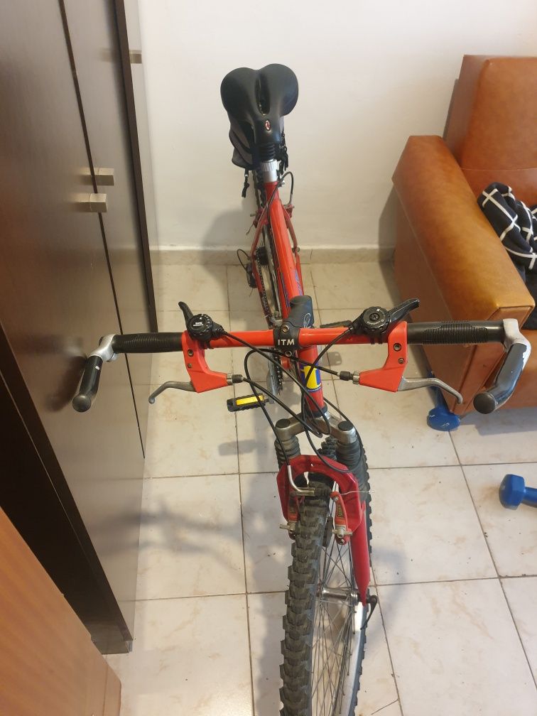 Bicicleta BTT Team Nature F100