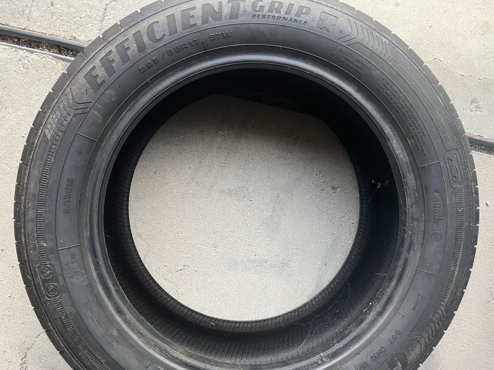 Pneus Efficient Grip Performance 225/55R17