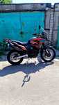 Musstang Challenge gt 250