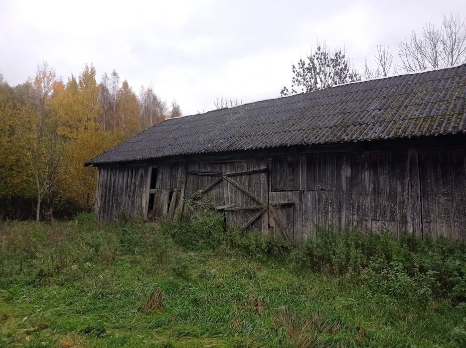 Opróżnianie sprzątanie utylizacja domów mieszkań piwnic strychów rod