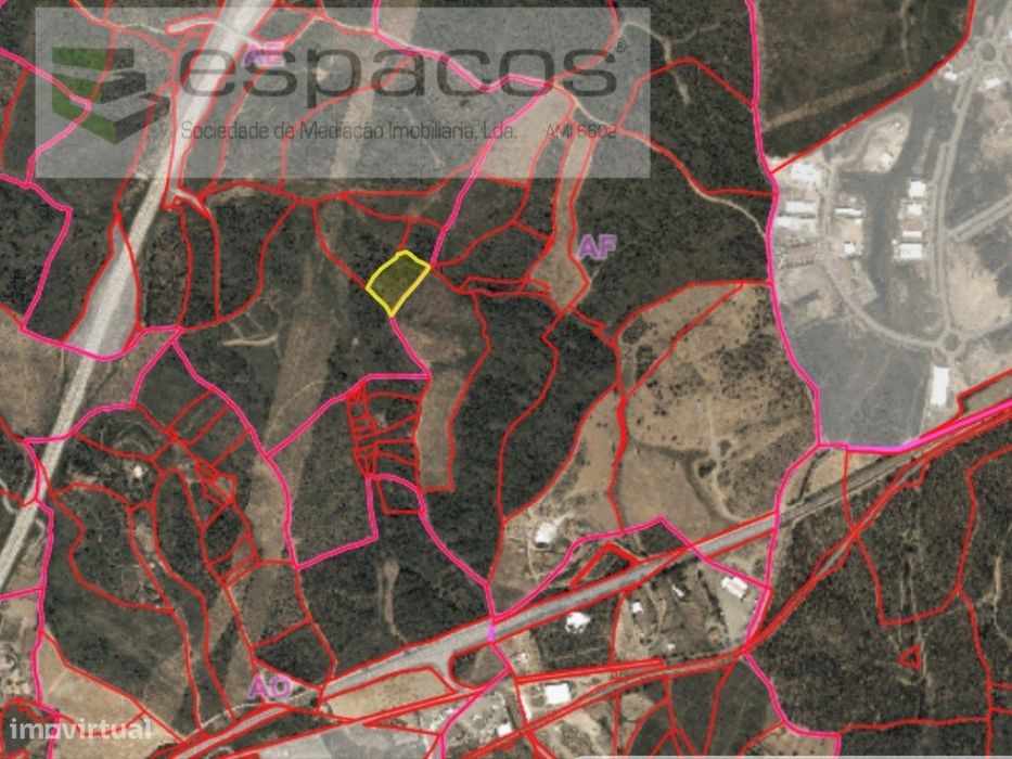 Terreno rústico próximo de Castelo Branco