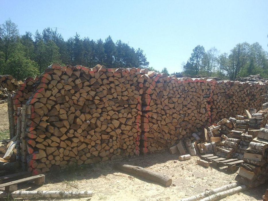 Drewno kominkowe Buk Suche Sezonowane