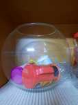 Aquario para peixes com capacidade de 10l