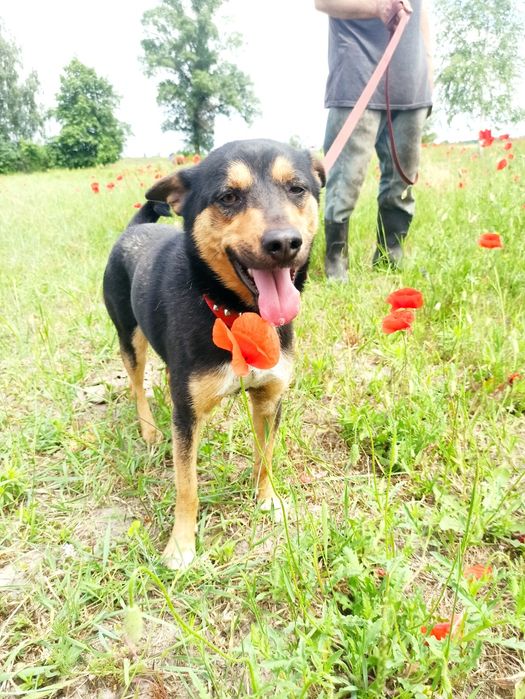 Хлопчик 3роки, Херсон