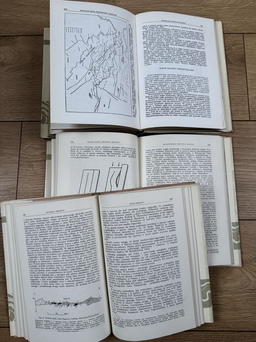 Budowa geologiczna Polski tom 4 tektonika części 1-3