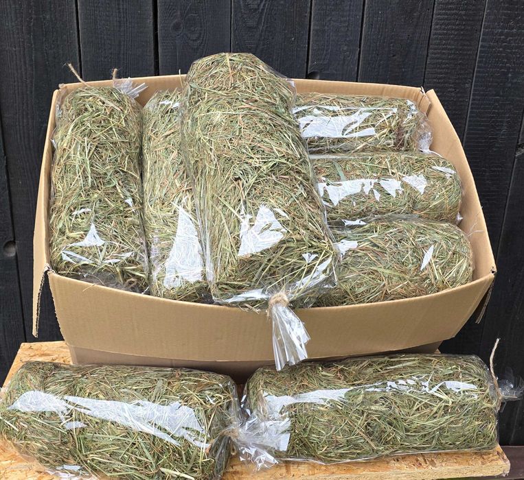 Szwagier mówi że to pójdzie;) Sianko dla gryzoni PREMIUM 15szt wysyłka