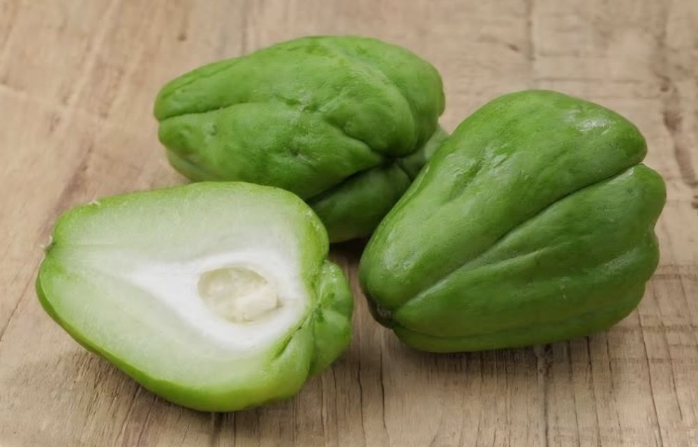 Chuchu biológico