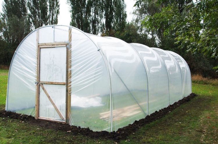 Плівка для теплиць Ginegar Sotrafa Тепличная пленка