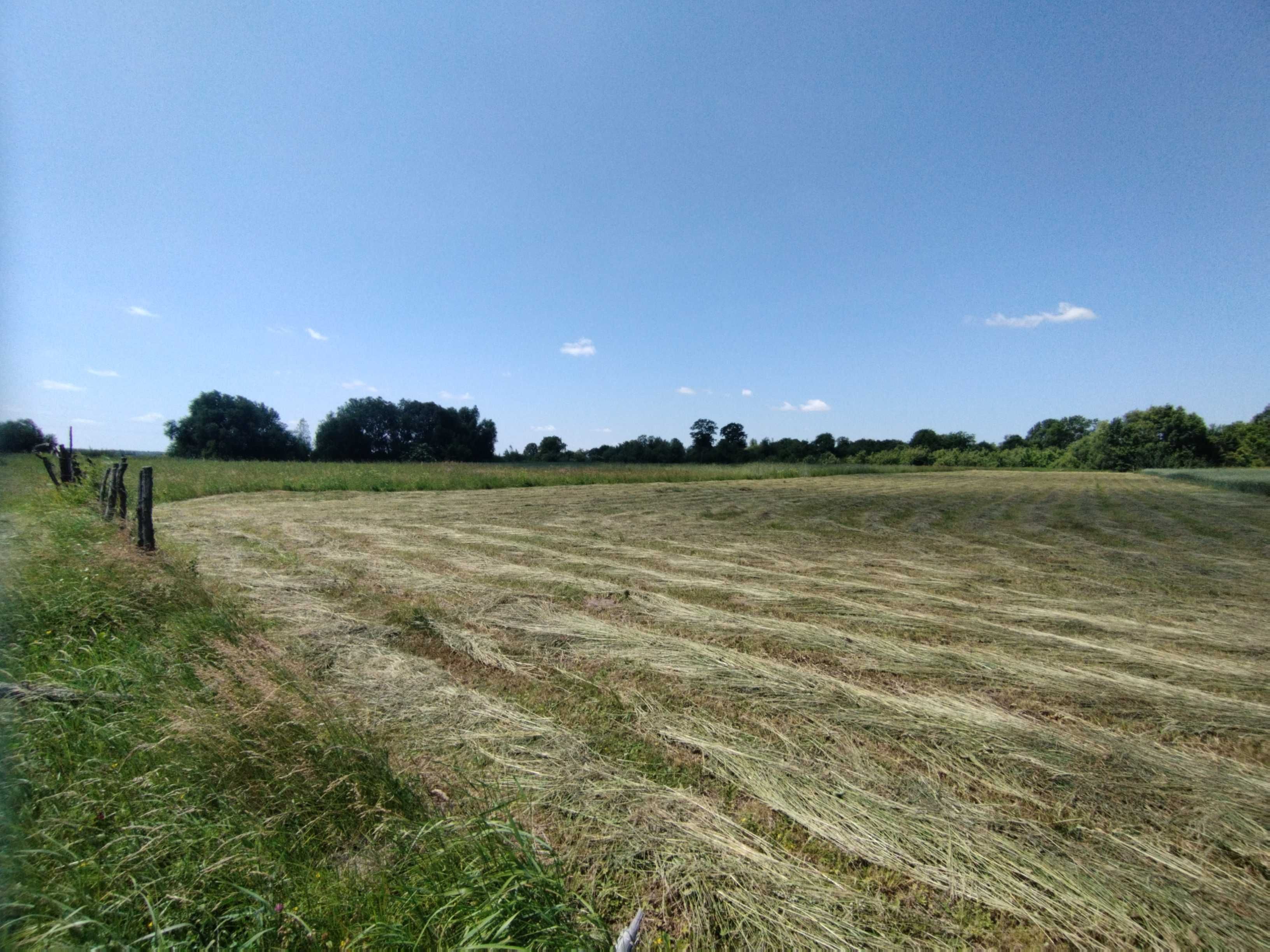 Продаж ділянки в селі Лукашівка 55сот. ОСГ