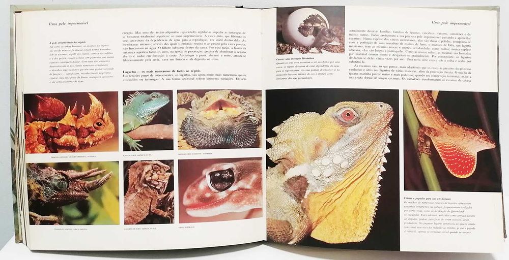 Livro - A vida na Terra - David Attenborough
