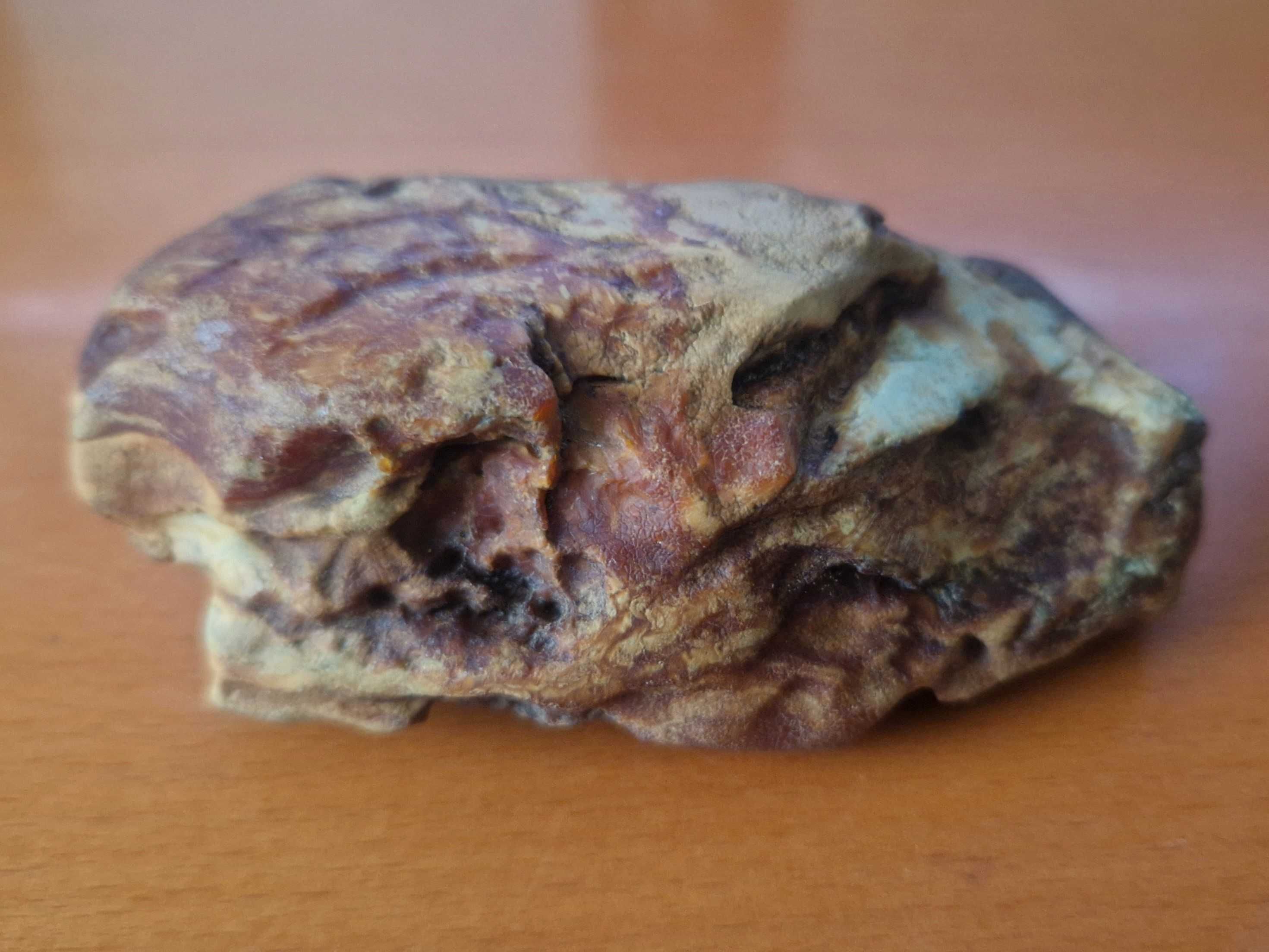 Wyjątkowy biało-kościano-przeźroczysty bursztyn ukraiński (95 g)