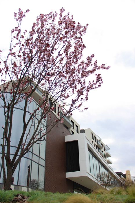 1-кімнатна квартира | GRAND HILLS | Ужгород, новобудова - GH 2.01