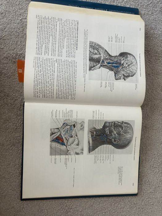 Livro Cunningham’s Textbook of Anatomy