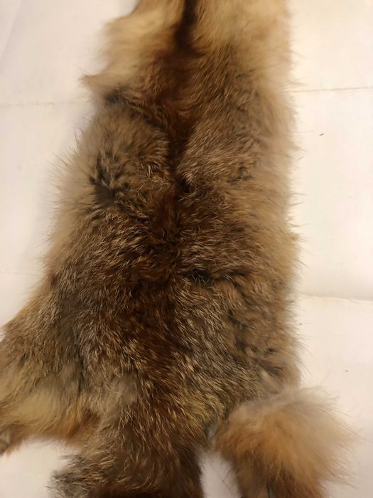 Мех лисы,  хорька