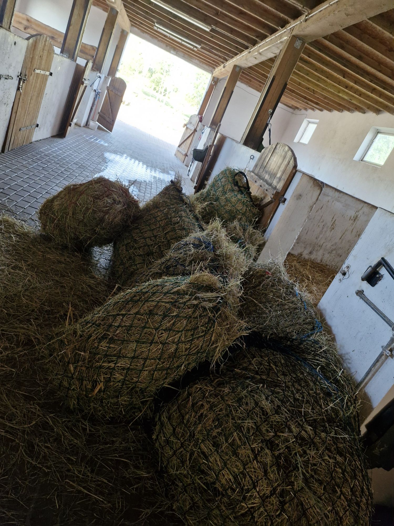 Stajnia pensjonat dla koni hotel wolny wybieg