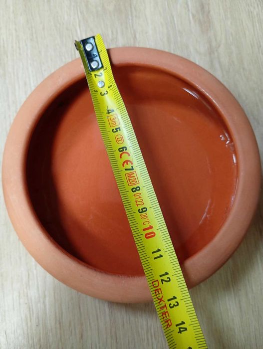Agama Brodata TERRARIUM i akcesoria