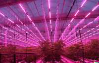 Професійне освітлення для теплиць Grow LED 240 Вт - теплична лампа