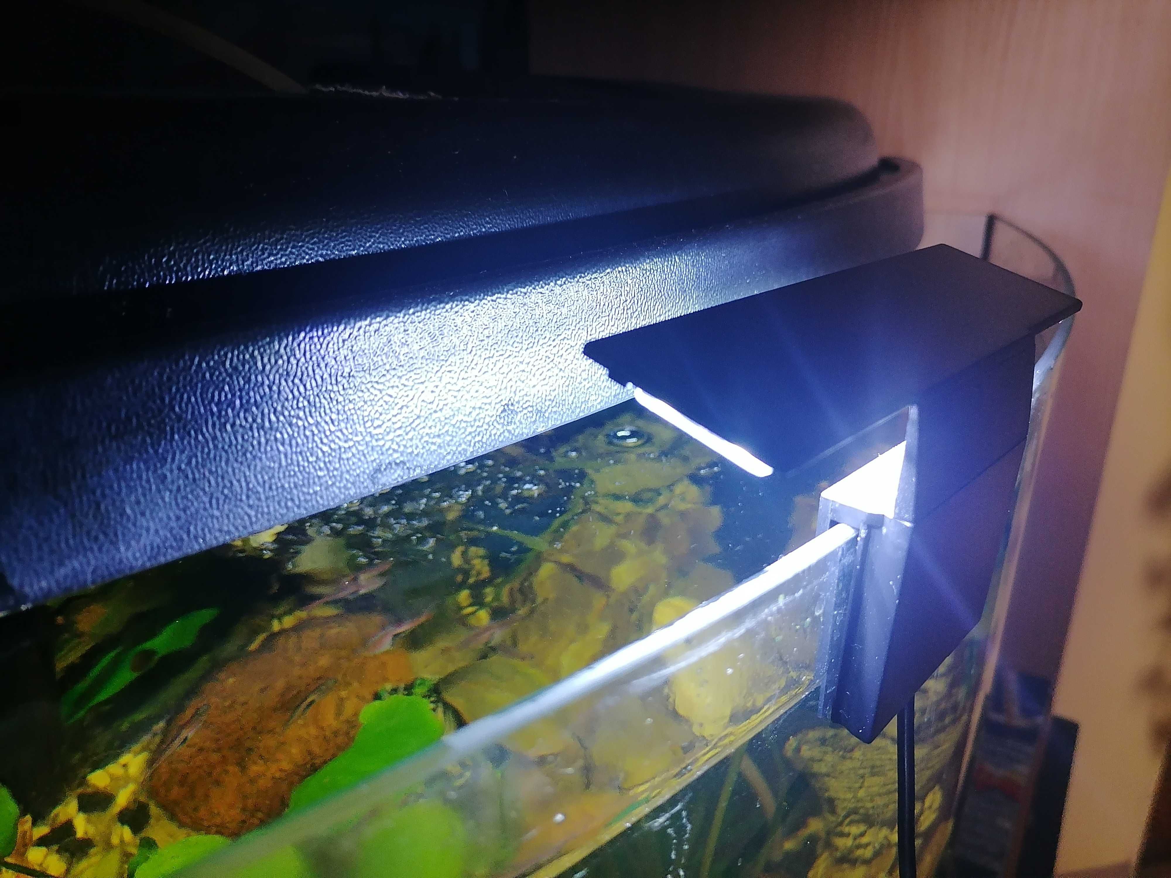 Oświetlenie do Akwarium Led