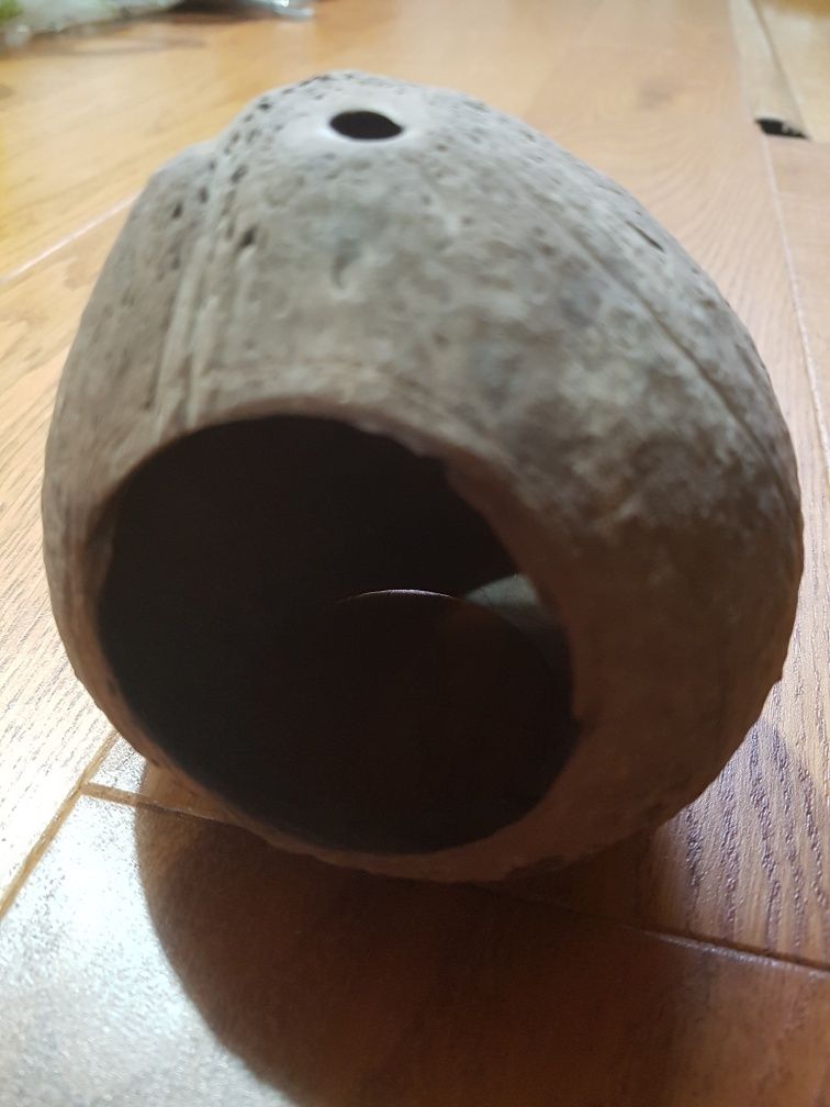 Kokos do akwarium