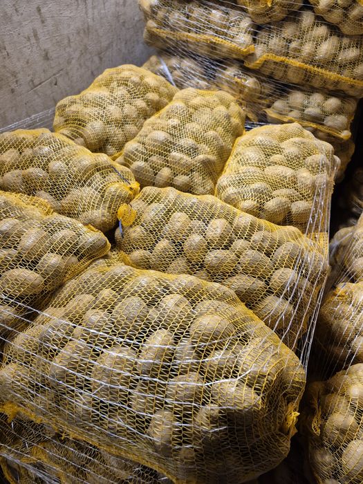 Sprzedam ziemniaki Gala I Soraya