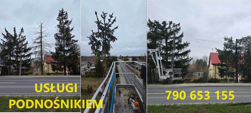 wycinka drzew z podnośnika sekcyjnie Mycie Dachów rynien elewacji