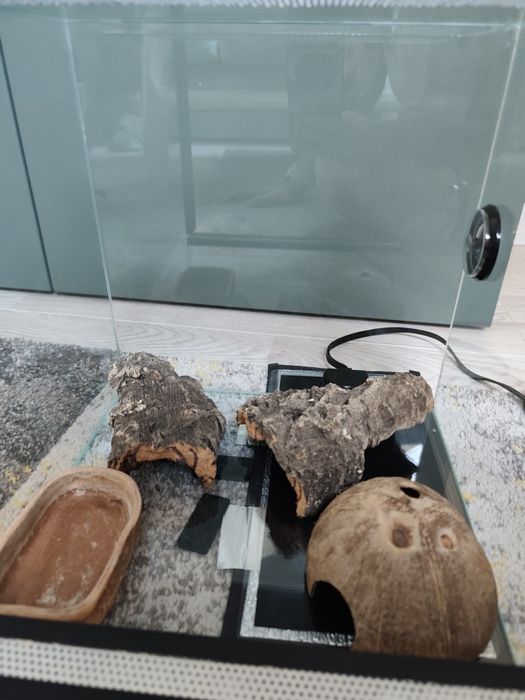 Terrarium 30x30x30 z matą grzewczą ze sterownikiem i dodatkami