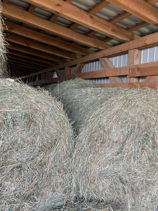 Siano pogodne 120x120